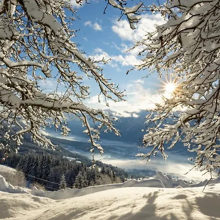 Panoramahof Am Goldberg Apartamento Dellach (Hermagor)