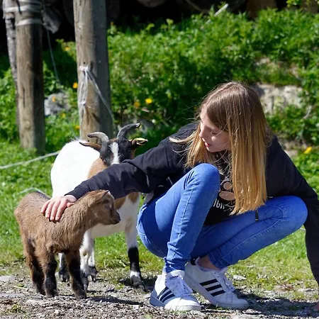 Apartamento Panoramahof Am Goldberg Dellach (Hermagor)