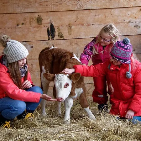 Panoramahof Am Goldberg * Dellach (Hermagor)
