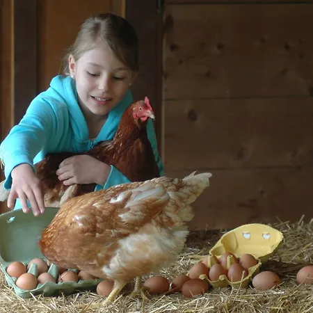 Apartmán Panoramahof Am Goldberg *