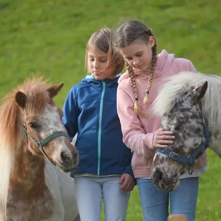 Panoramahof Am Goldberg