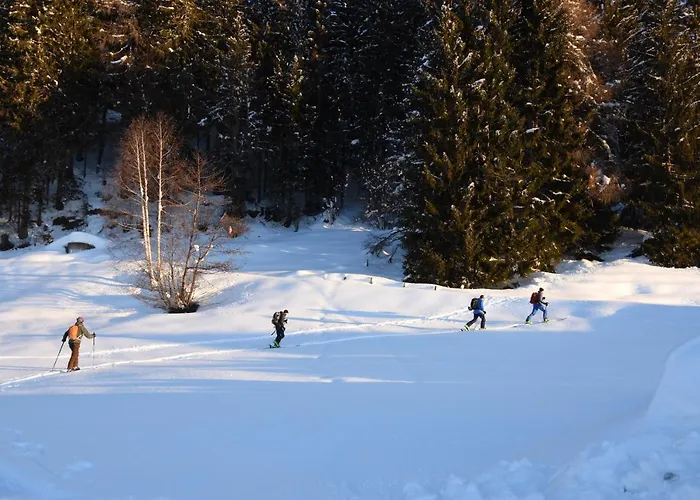 Апартаменты Panoramahof Am Goldberg
