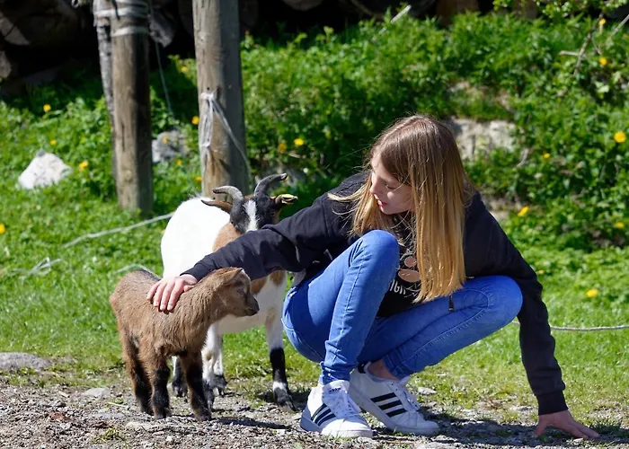 公寓 Panoramahof Am Goldberg 德拉什