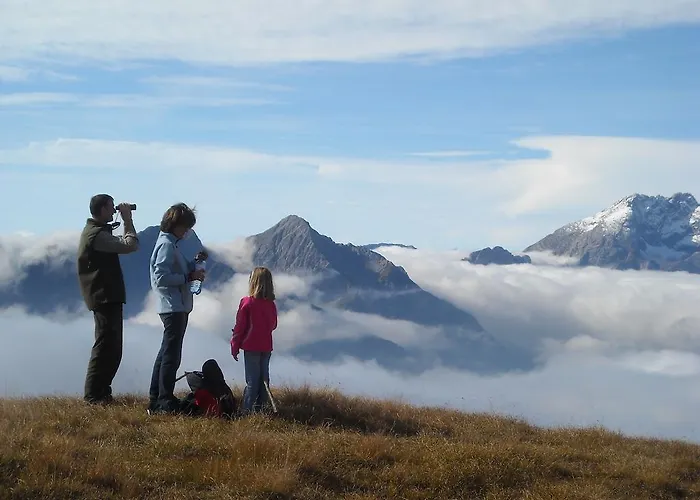 Апартаменты Panoramahof Am Goldberg *