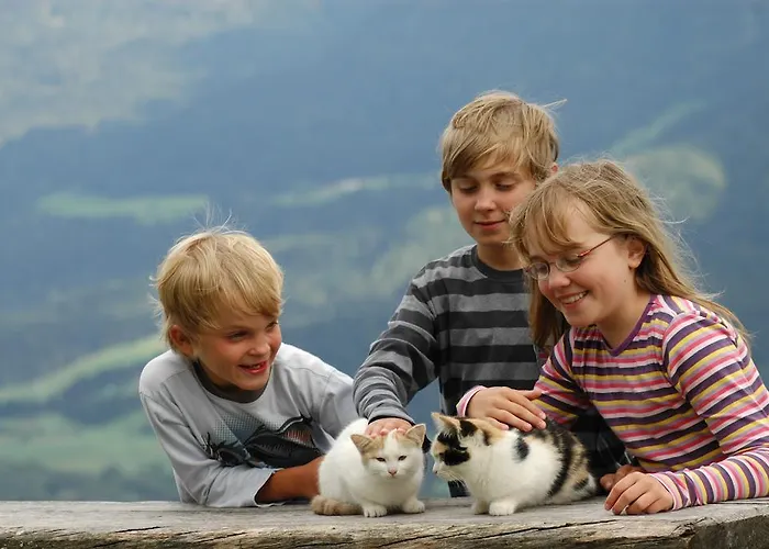 Апартаменты Panoramahof Am Goldberg