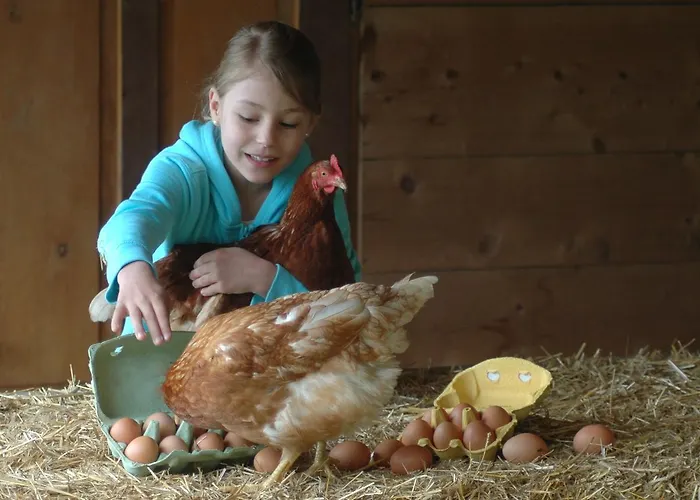 Апартаменты Panoramahof Am Goldberg *