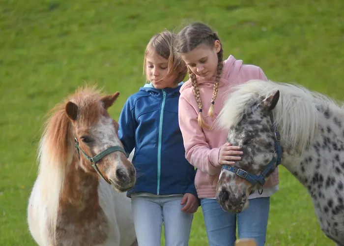 Panoramahof Am Goldberg